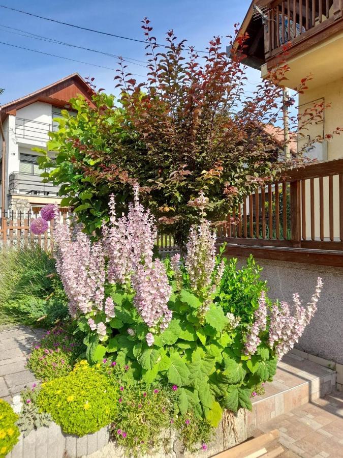 Апартаменты Harmonia Vendeghaz 100 Meterre Az Igali Gyogyfuerdotol Экстерьер фото