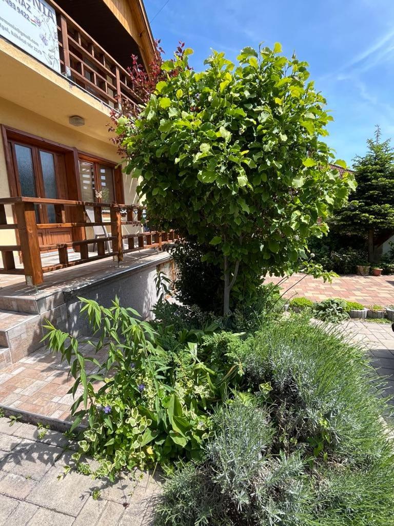 Апартаменты Harmonia Vendeghaz 100 Meterre Az Igali Gyogyfuerdotol Экстерьер фото